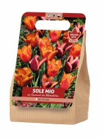 8711201619565_1.jpg 8711201619565_1.jpg