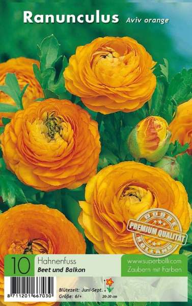 Ranunculus Aviv orange Hahnenfuss 10 Stück