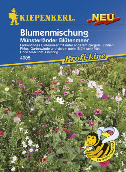 Kiepenkerl Blumenmix Münsterl. Blütenmeer